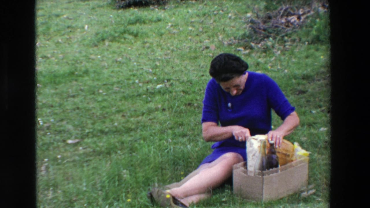 A woman in a blue dress sits on a grassy lawn in Loudes, France, handling picnic items beside a cardboard box with bottles and wrapped food.