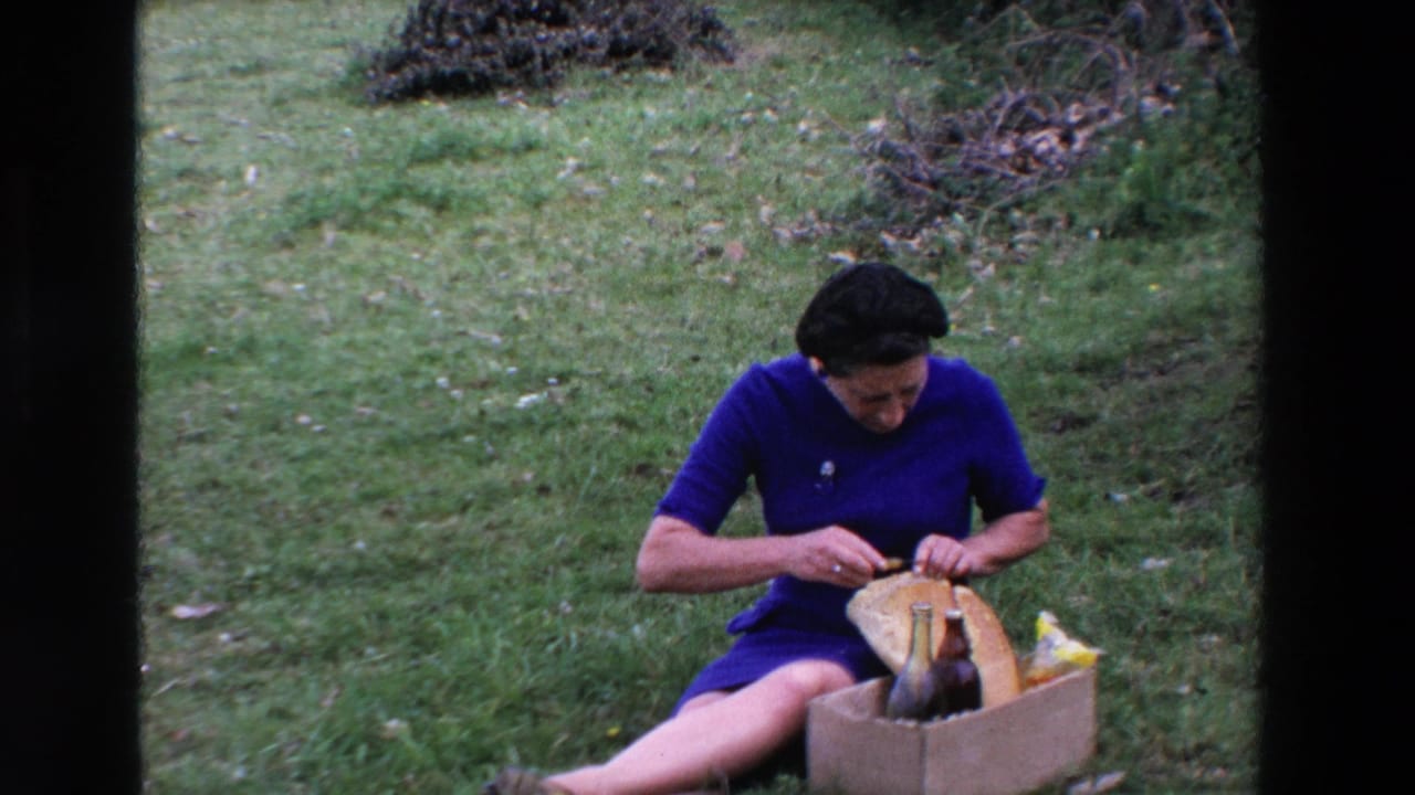 Woman looks down while handling the wrapped bread beside a cardboard box on the grass.