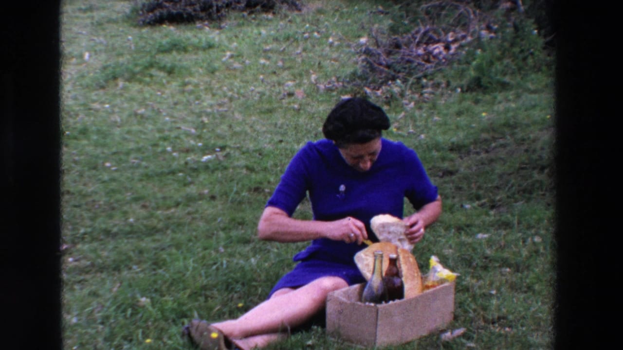 In the Loudes, France picnic scene, the seated woman handles bread over a cardboard basket containing dark glass bottles and a yellow packet.