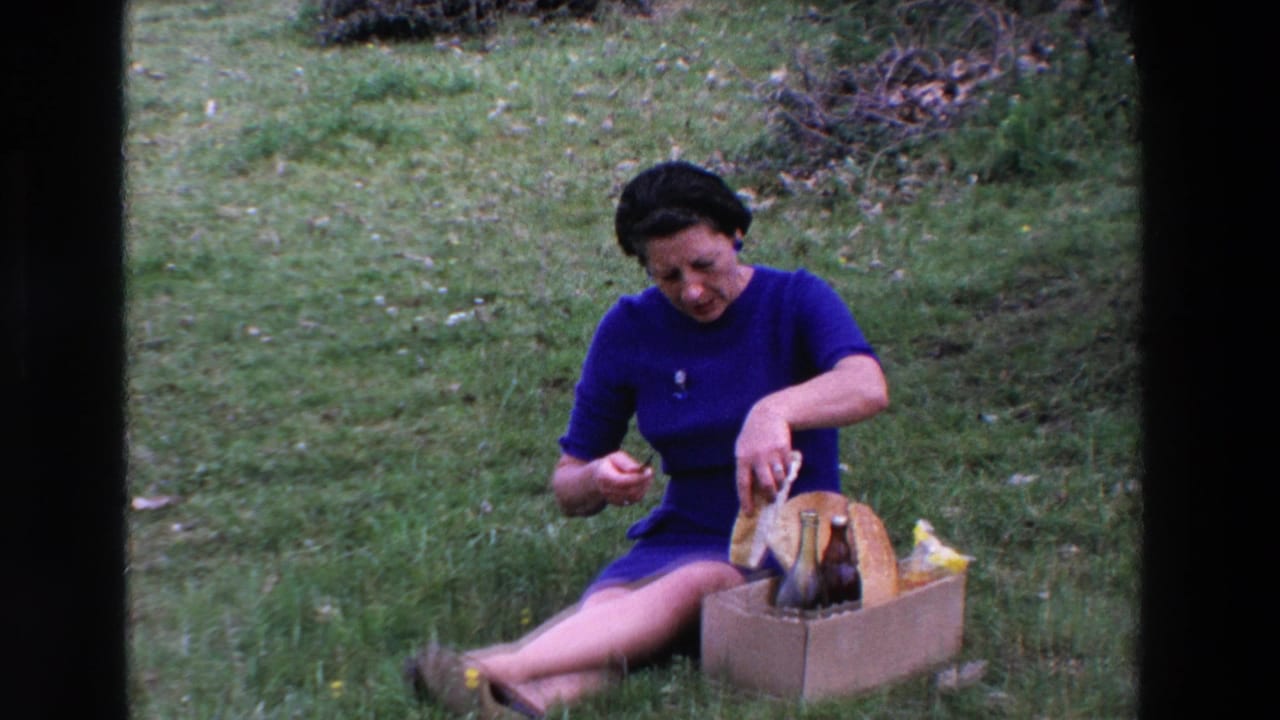 Woman smiles while seated on grass and reaching into a picnic basket.