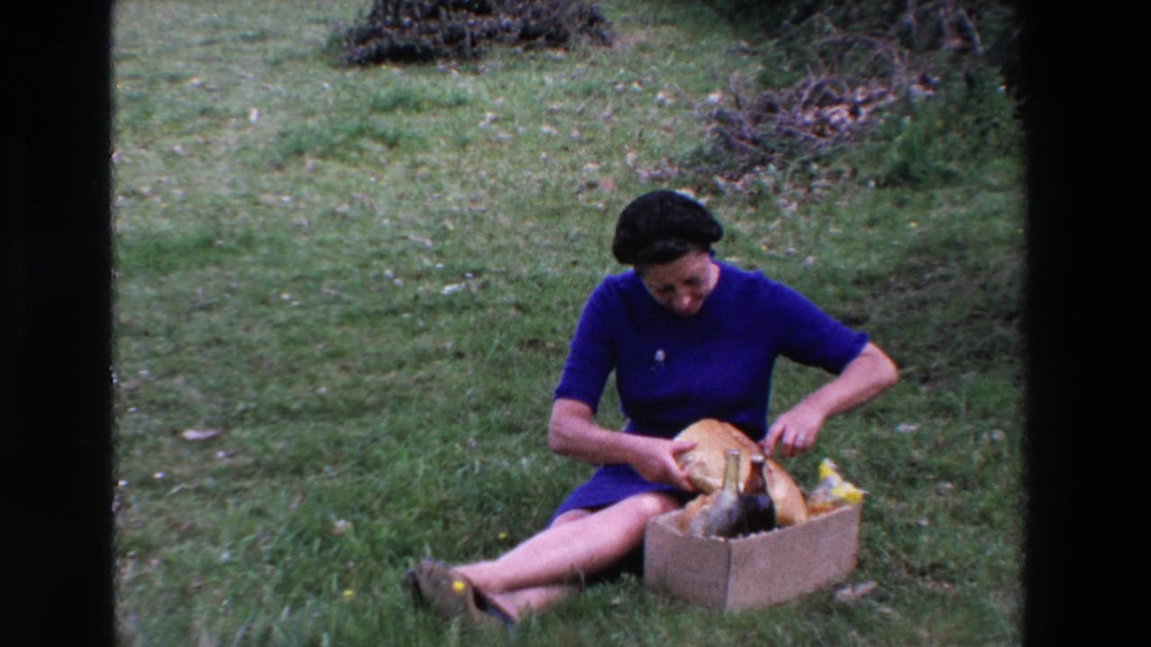 In supported 1969 Loudes, France home-movie footage, a woman in a blue dress sits on grass with a cardboard box of picnic food and bread.