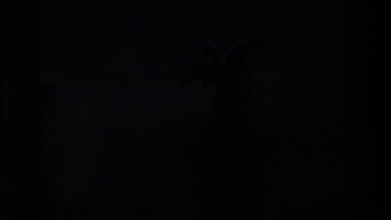 Very dark underexposed frame with only faint street details visible.