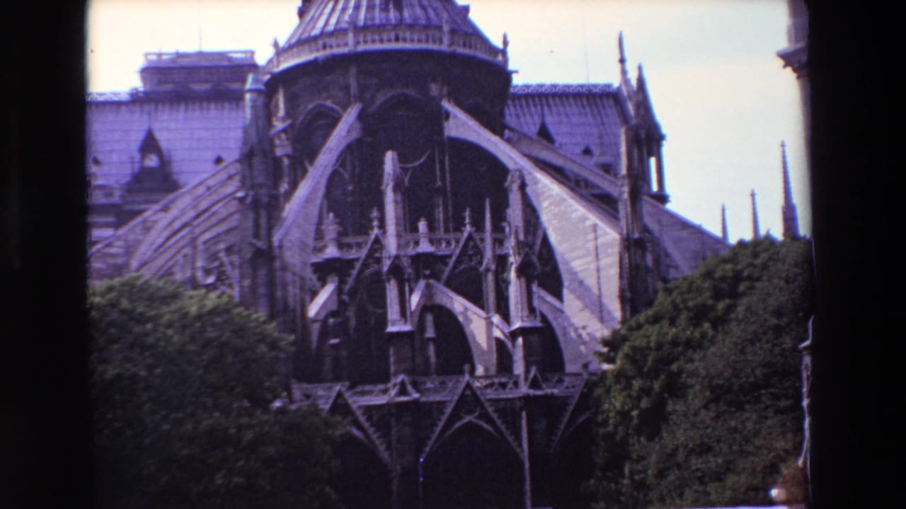 Notre-Dame Cathedral exterior with buttresses, spires, and trees.