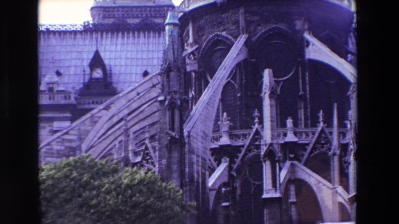 Cathedral buttresses, roof tiles, and Gothic stone details partly framed by trees.