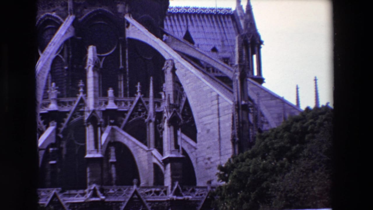 Close exterior view of Notre-Dame stone buttresses, arches, roof, and greenery.