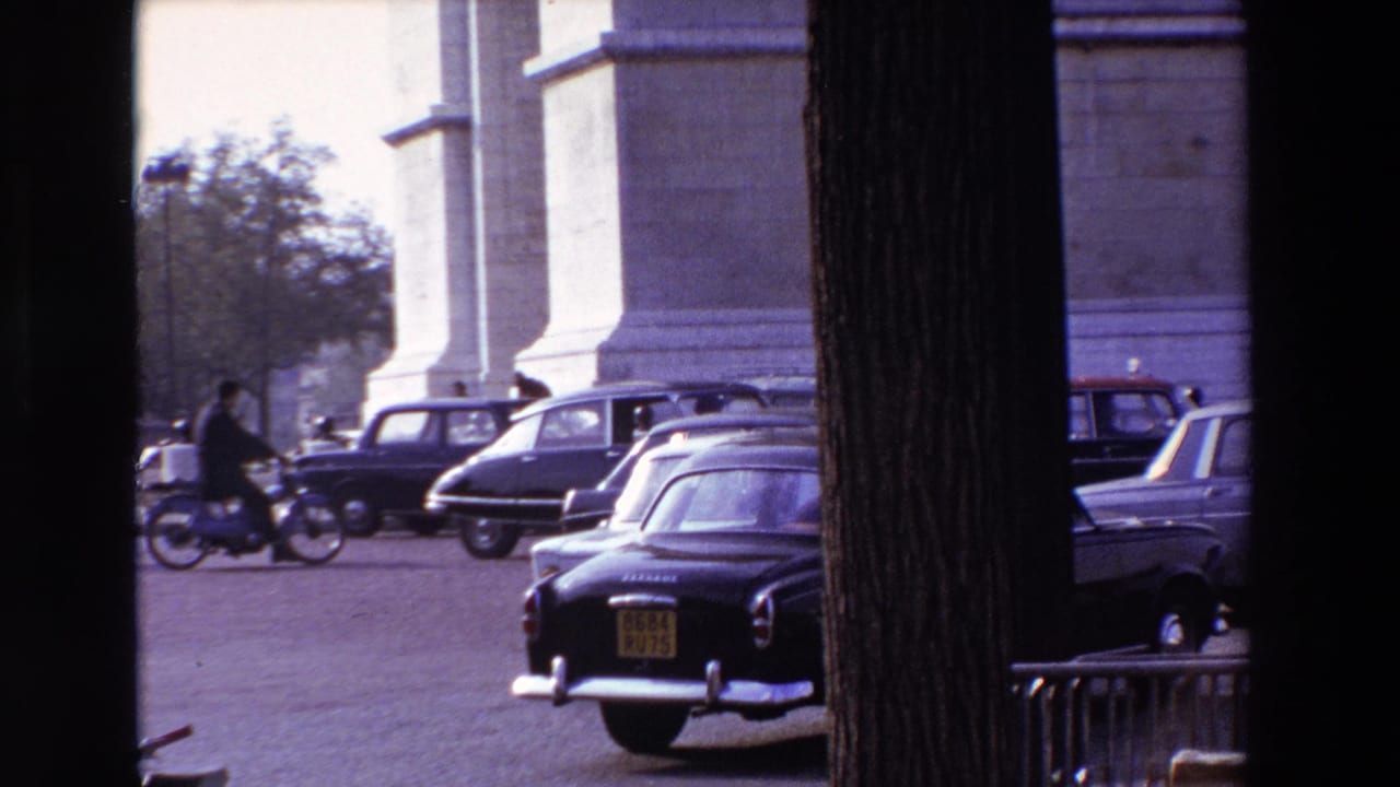 Cars and a scooter pass behind tree trunks near monumental stone columns.
