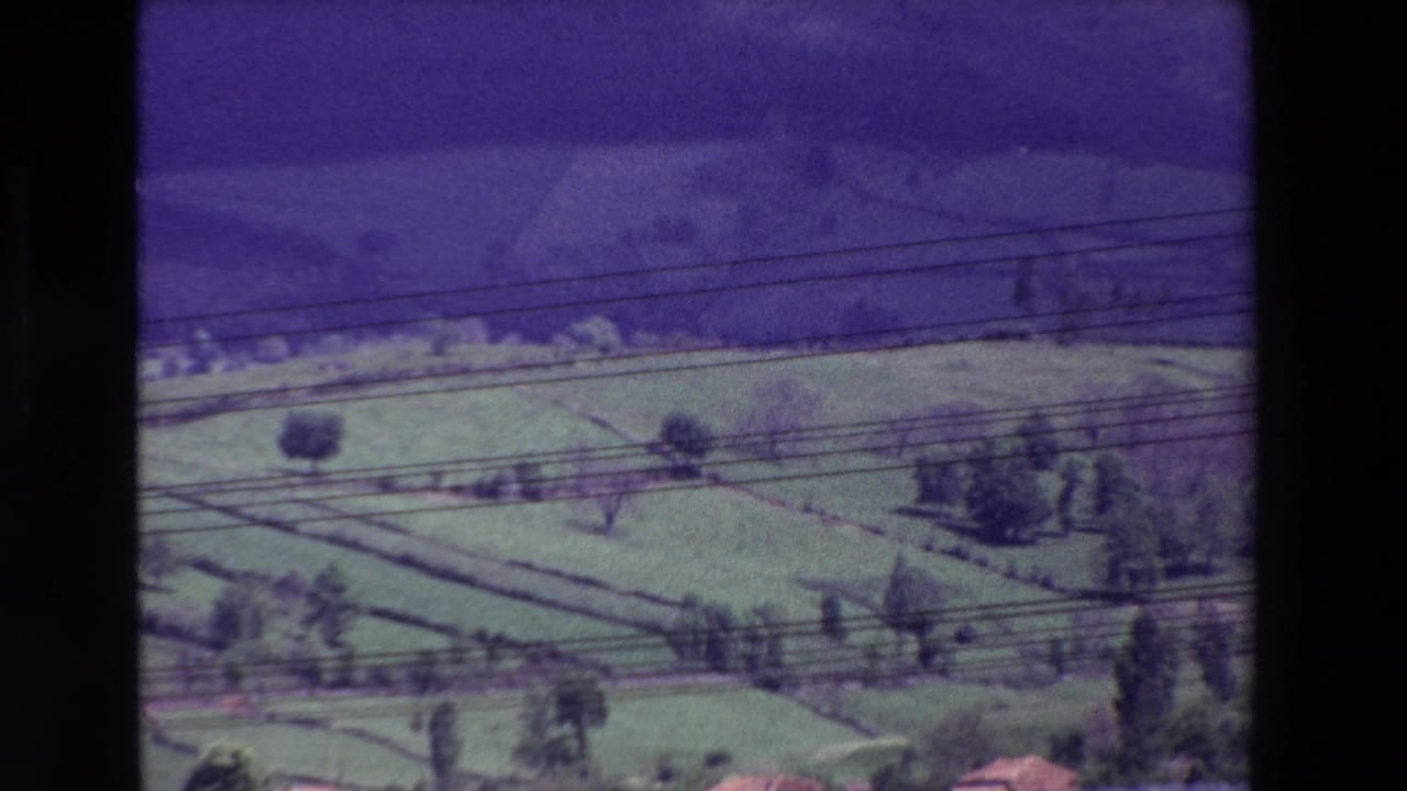 Terraced green fields crossed by power lines with scattered trees in the distance.