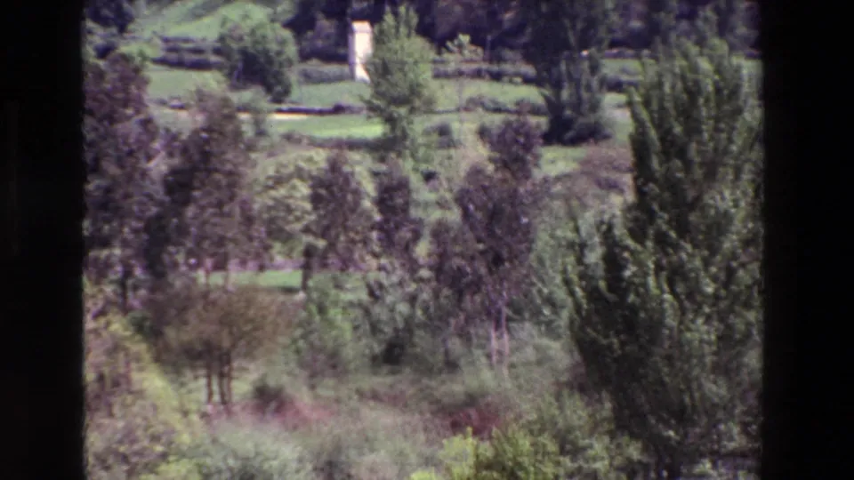 Soft 8mm landscape frame with trees, cultivated green terraces, and a small pale structure partly obscured by vegetation, viewed from a distance.