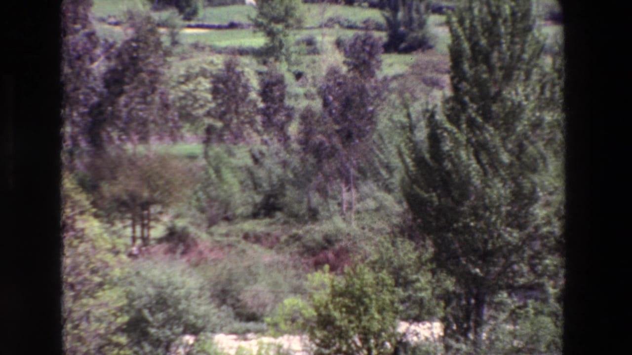 1969 8mm home-movie frame showing a wooded stream area in Spain, with green trees, brush, meadow-like ground, and dark borders from the scan or gate.