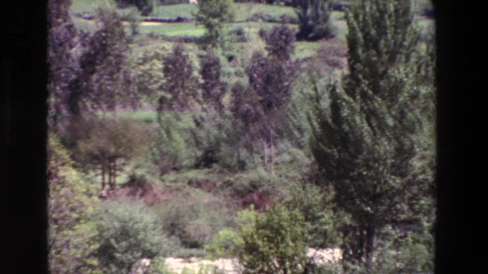 1969 8mm home-movie frame showing a wooded stream area in Spain, with green trees, brush, meadow-like ground, and dark borders from the scan or gate.