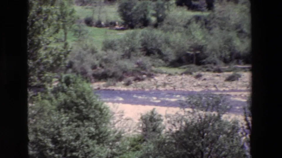 The frame shows a shallow stream running past a pale bank and brushy vegetation, with soft focus and visible 8mm film texture.