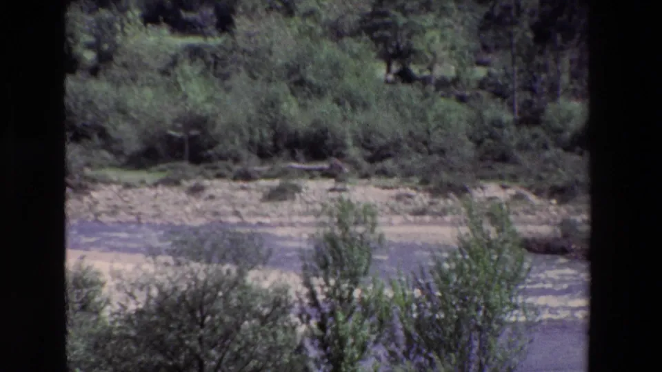 A final 8mm frame of the rural stream scene shows dense riverside brush, scattered trees, pale bank areas, and the waterline near the lower edge.