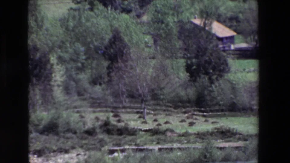 Archival 8mm frame from the Spain 1969 reel showing a green riverbank with trees, shrubs, open grass, and a small roofed structure in the distance.