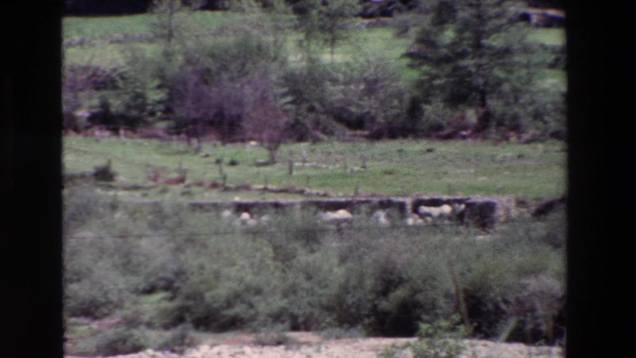 Green pasture and hillside vegetation with a low stone wall and distant trees.