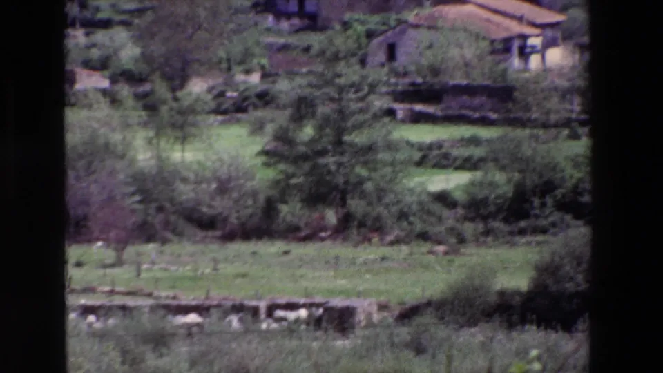1969 8mm countryside frame in Spain showing green fields, trees, brush, low walls, and part of a terracotta-roofed farmhouse.
