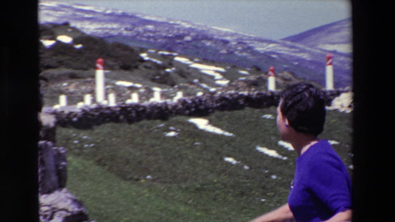 Woman looks across a grassy mountain slope with snow patches and roadside posts.