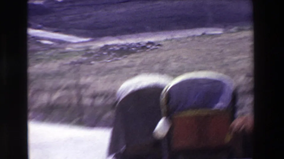 1969 8mm travel view with a horse-drawn buggy blurred in the foreground and rural fields and roadside ground beyond it.