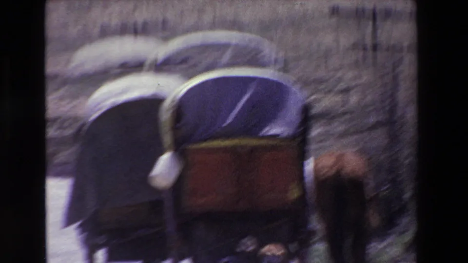 Soft, motion-blurred 8mm frame showing a horse-drawn buggy and horse near a rural roadside, with fields receding in the background.