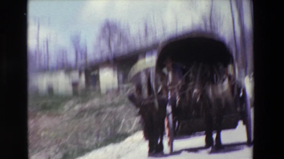 Soft 8mm frame of a horse-drawn covered carriage on a rural road, with the camera trailing from behind and countryside visible around it.