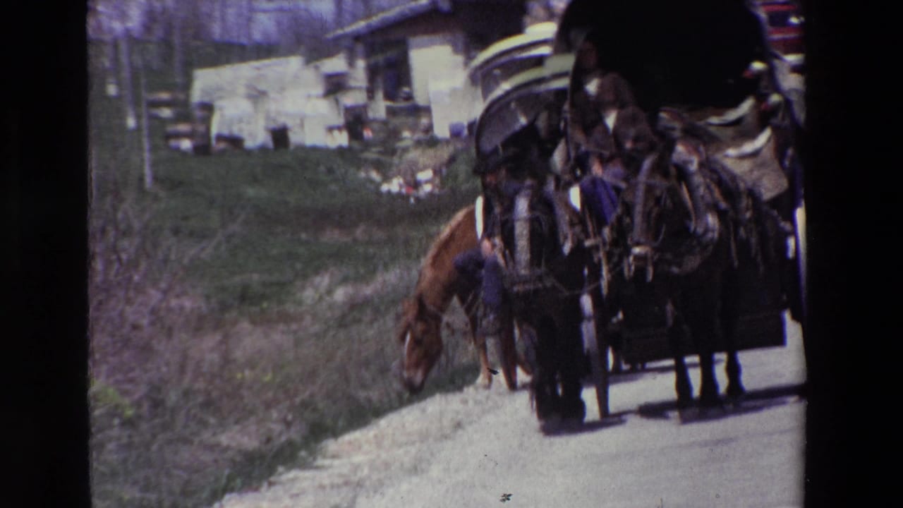 Brown horse pulling a covered carriage past a grassy roadside and light-colored building.