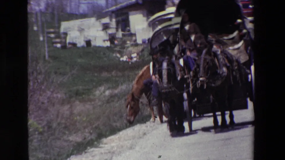 Horse-drawn carriage with passengers under a dark canopy passes a grassy roadside area, with a light building and parked trailers in the background.