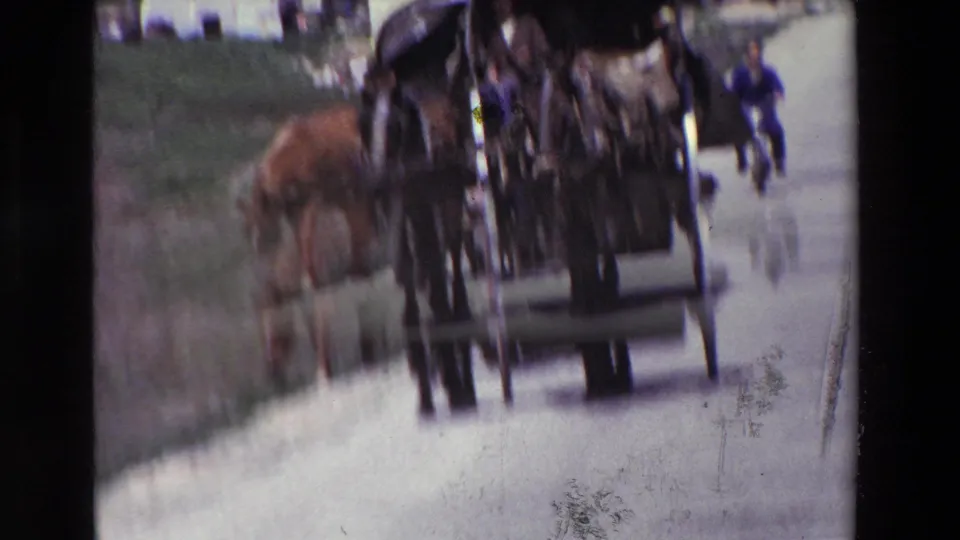 Rear view of a covered horse-drawn carriage on a rural road, with passengers inside and a walking figure visible farther along the road.
