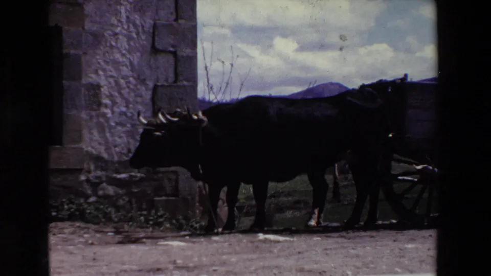 A dark horned ox stands harnessed to a wooden cart beside a rough stone building, with cloudy sky and low hills in the background.