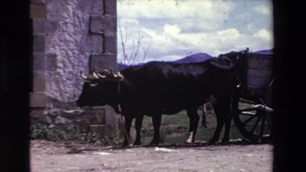 The ox remains still beside the wagon, framed by a dark opening with a stone wall, hills, and cloudy sky visible beyond.