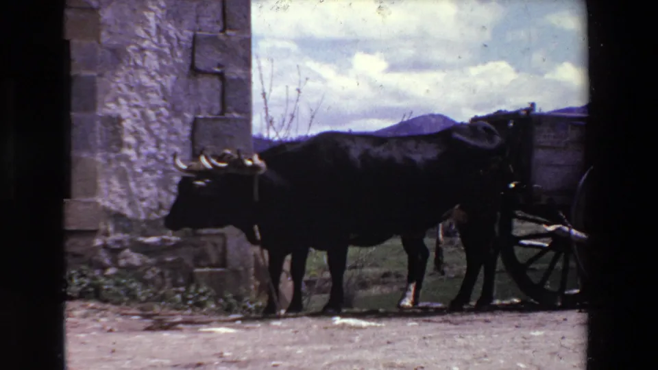 The ox remains still beside the wagon, framed by a dark opening with a stone wall, hills, and cloudy sky visible beyond.