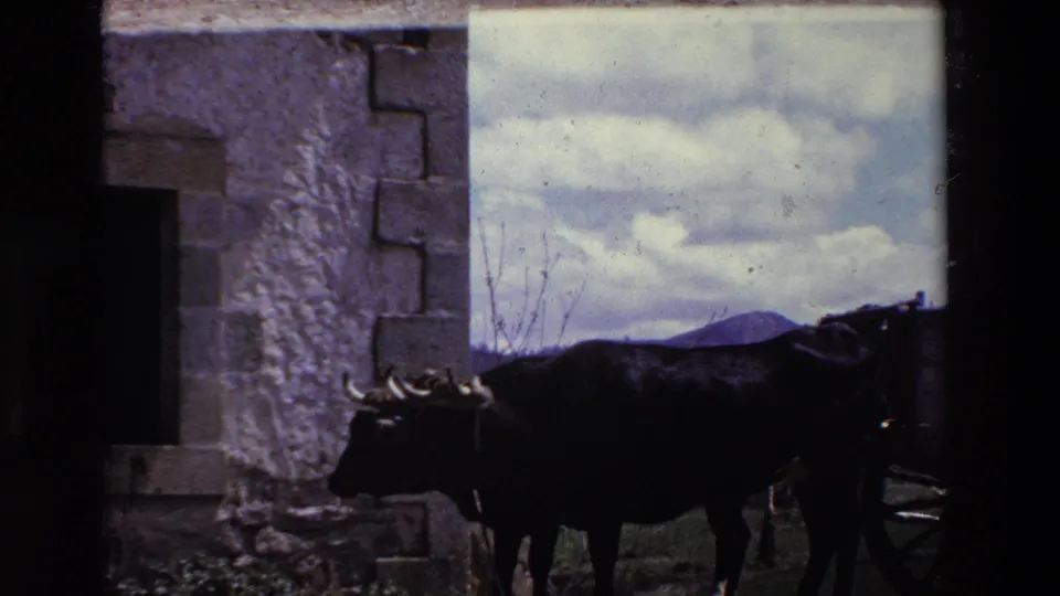 The final frame shows the black ox and wagon partly in shadow, with the stone structure and distant hill still visible behind them.