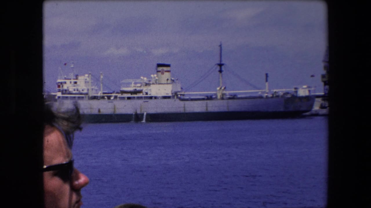 Adult man in sunglasses partly obscured by a window frame with a docked cargo vessel behind him.