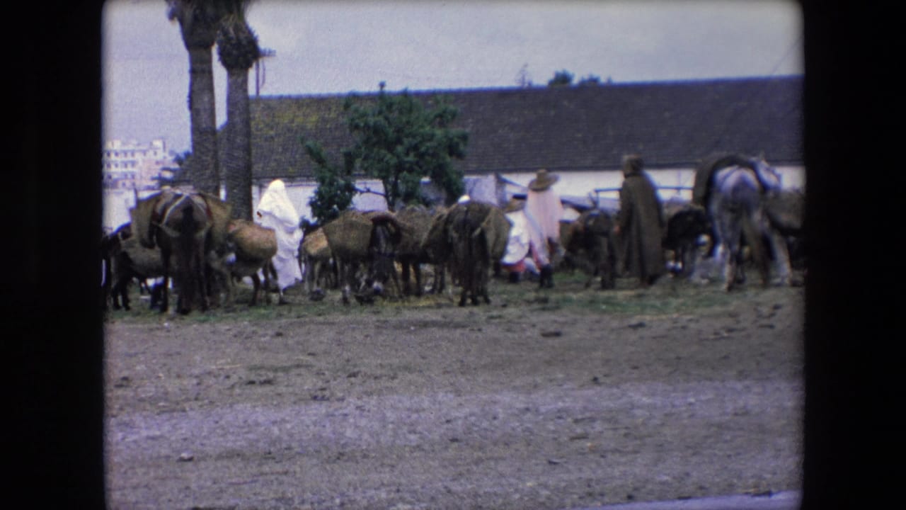 A cluster of donkeys and cattle stands beside people in robes on a rural farmyard.