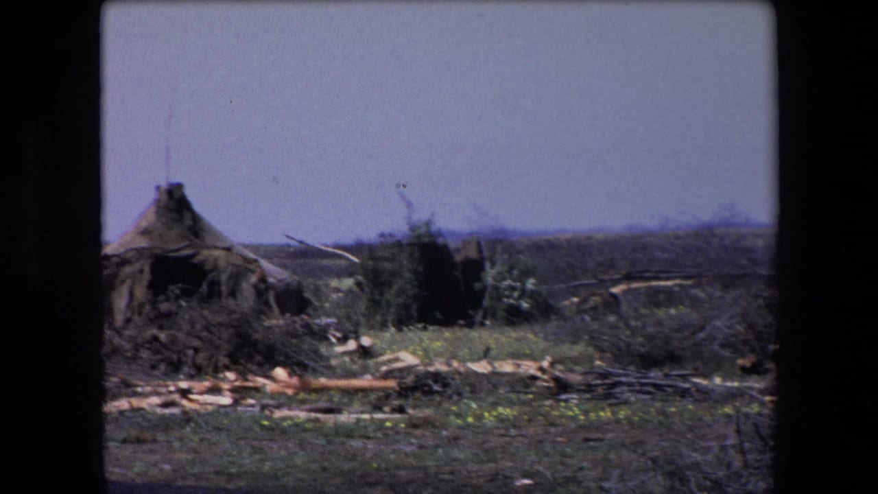 1971 Algeria 8mm frame showing a collapsed tent-like structure beside branches, debris, and sparse scrub under a pale sky.