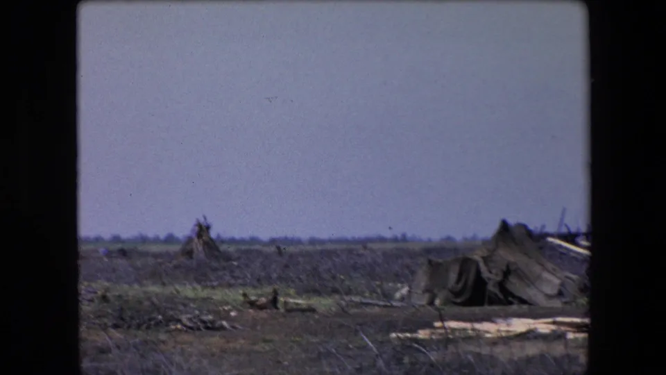 1971 Algeria 8mm frame with a collapsed tent-like structure on the right, scattered branches, low vegetation, and open sky.