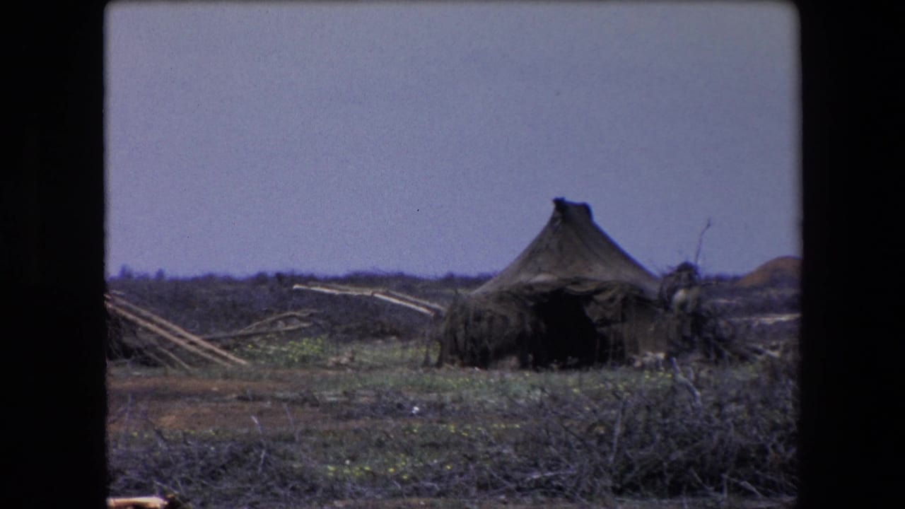 1971 Algeria 8mm frame showing a small damaged rural hut in scrubby terrain with scattered branches and low hills in the distance.