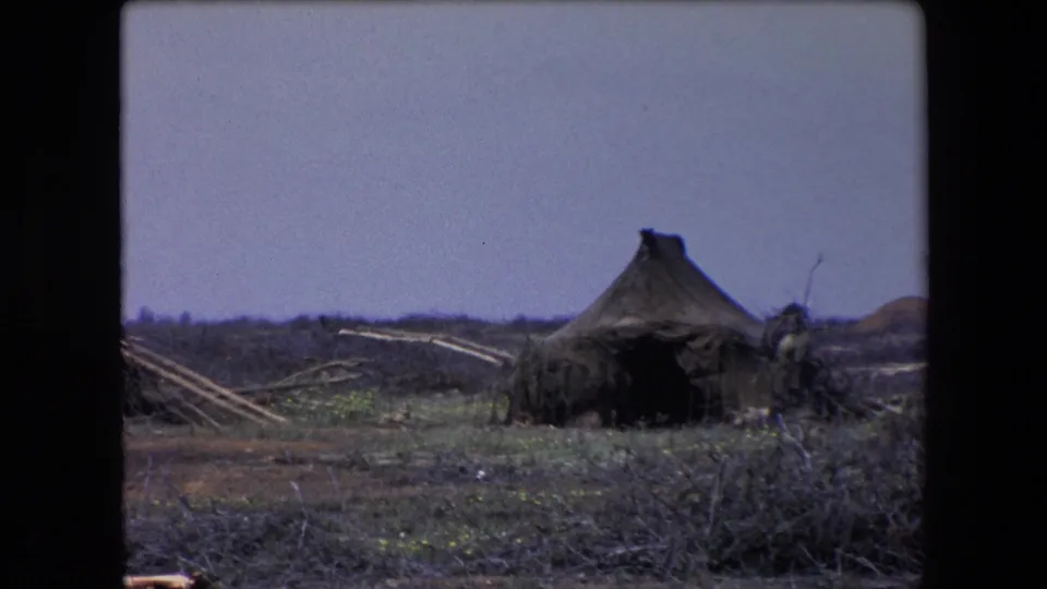1971 Algeria 8mm frame showing a small damaged rural hut in scrubby terrain with scattered branches and low hills in the distance.