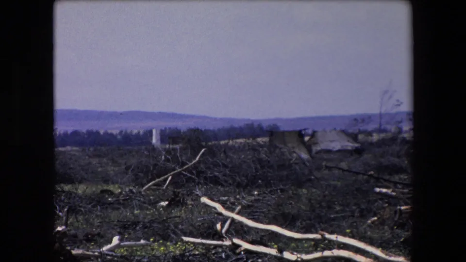1971 Algeria 8mm frame looking across broken branches, dark scrub, and a low damaged structure or debris pile toward distant hills.
