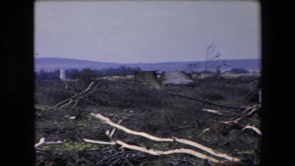 1971 Algeria 8mm frame showing scattered branches and broken debris across a scrubby rural field, with low hills and a pale sky beyond.