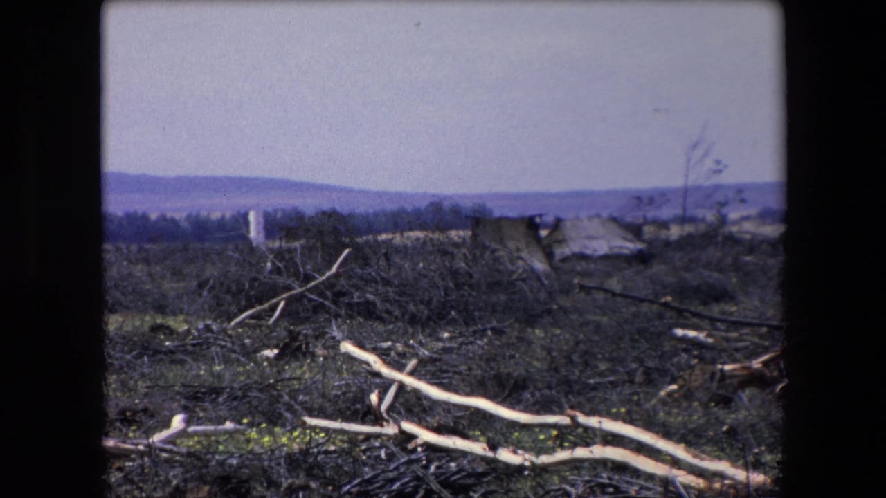 1971 Algeria 8mm frame showing a sparse, scorched-looking landscape with fallen pale branches, low rough shelters, distant hills, and a body of water under a pale sky.