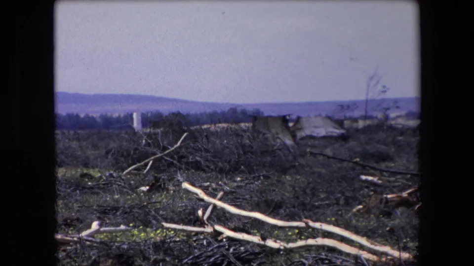1971 Algeria 8mm frame showing a sparse, scorched-looking landscape with fallen pale branches, low rough shelters, distant hills, and a body of water under a pale sky.