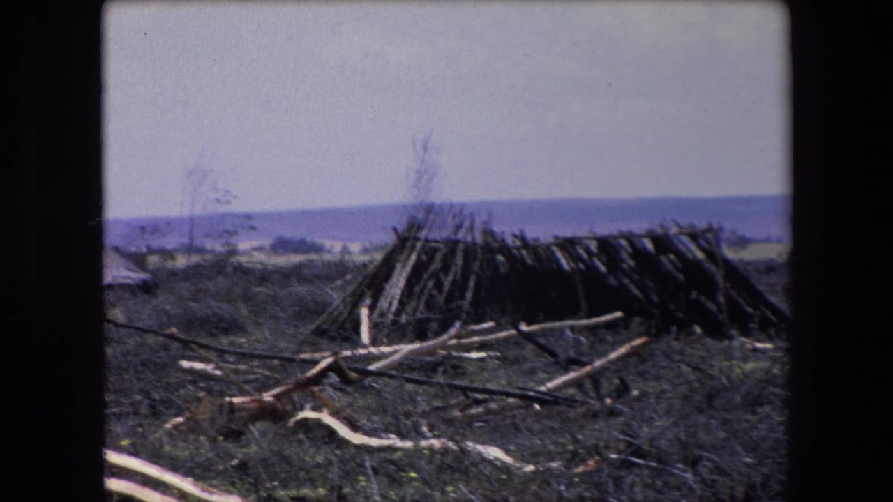 Makeshift branch shelter on dark open ground with water and hills behind it.