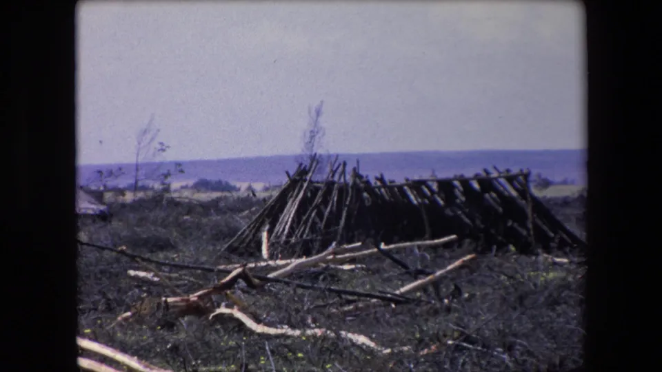 1971 Algeria 8mm frame showing a long improvised branch shelter with scattered fallen wood in the foreground and a faint waterside horizon in the background.
