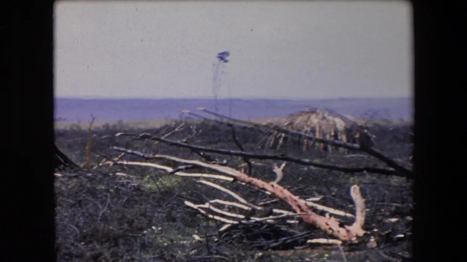 1971 Algeria 8mm frame showing a low conical hut or shelter beside scattered branches, with a broad distant body of water and low hills beyond.