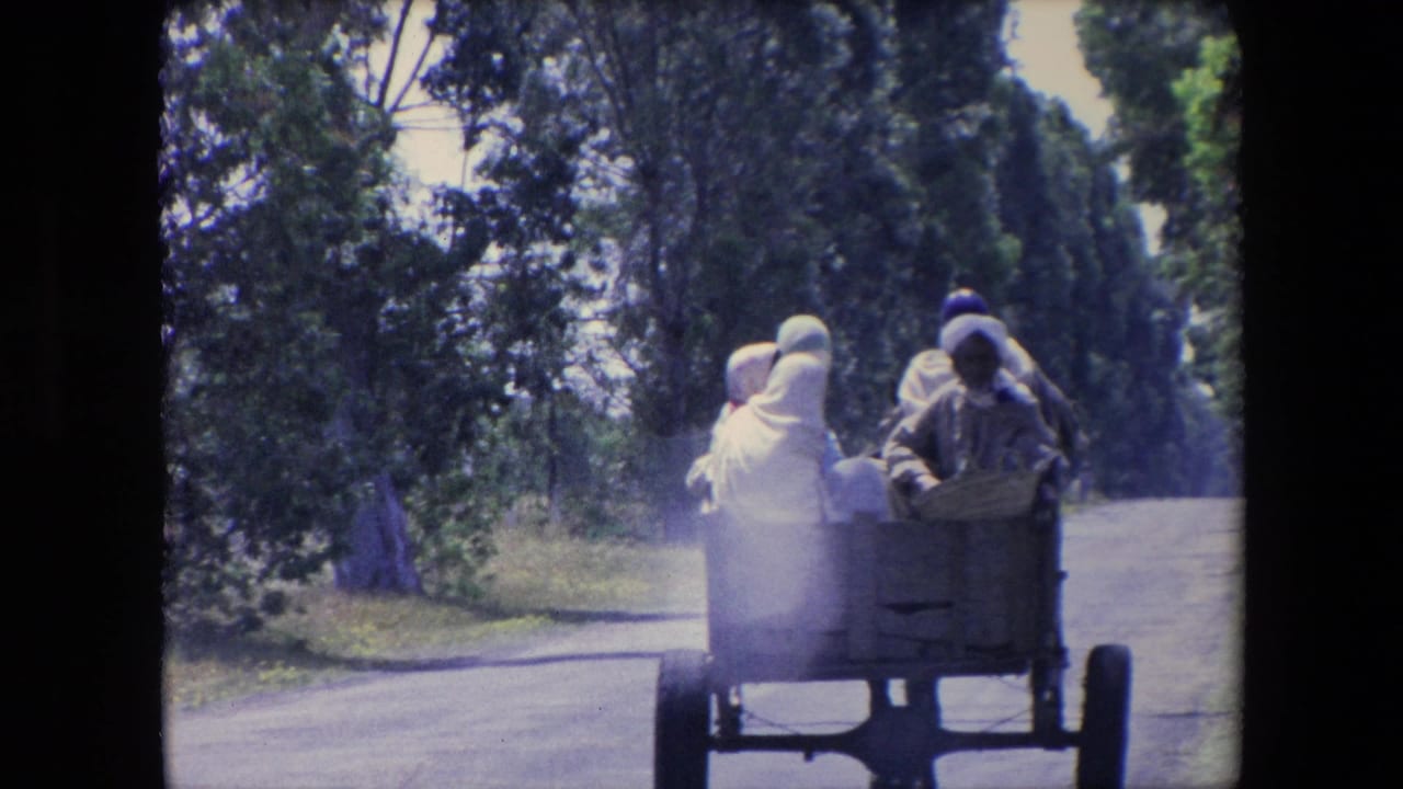 In metadata-supported 1971 Algeria footage, several people ride away in an open wooden cart on a dusty road bordered by trees.