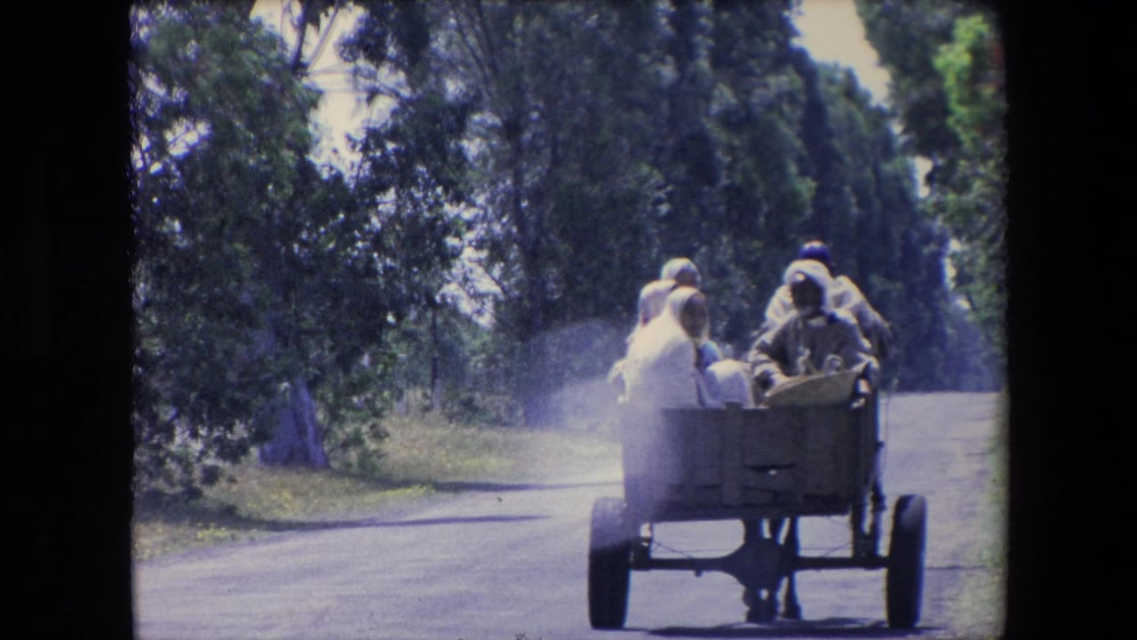 Open cart with passengers moves farther down the road past roadside trees.