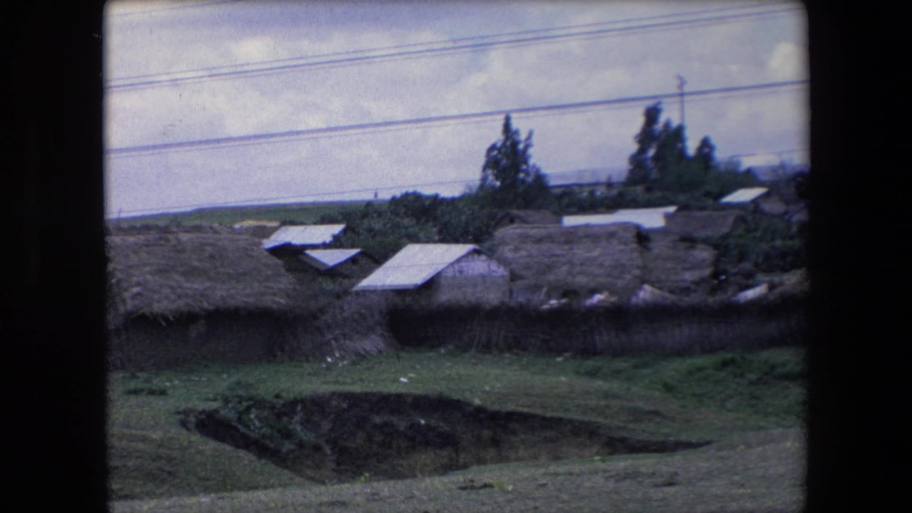 1971 Algeria home-movie frame showing thatch-roofed village structures beyond grassland, with trees, cloudy sky, and utility lines overhead.