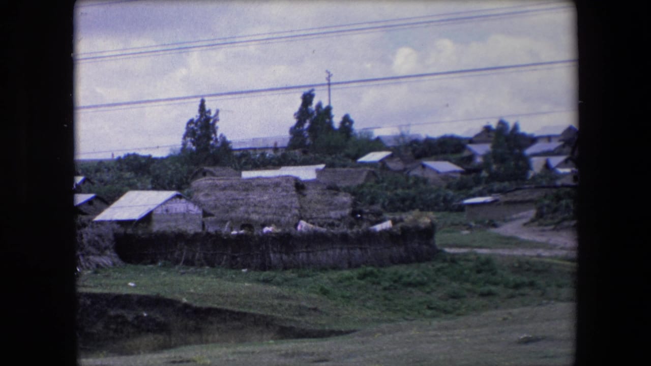 Village buildings and a dirt road seen past grass and trees under power lines.