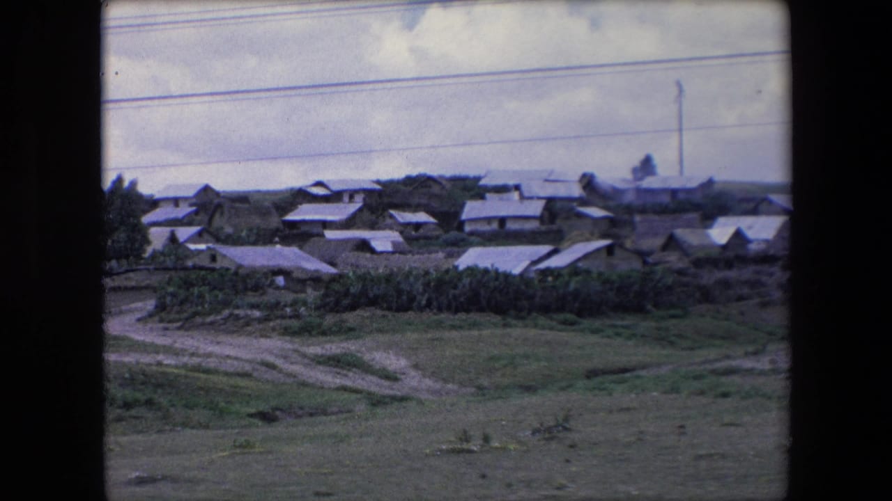 Wide village landscape with clustered houses, green ground, dirt paths, and utility lines.