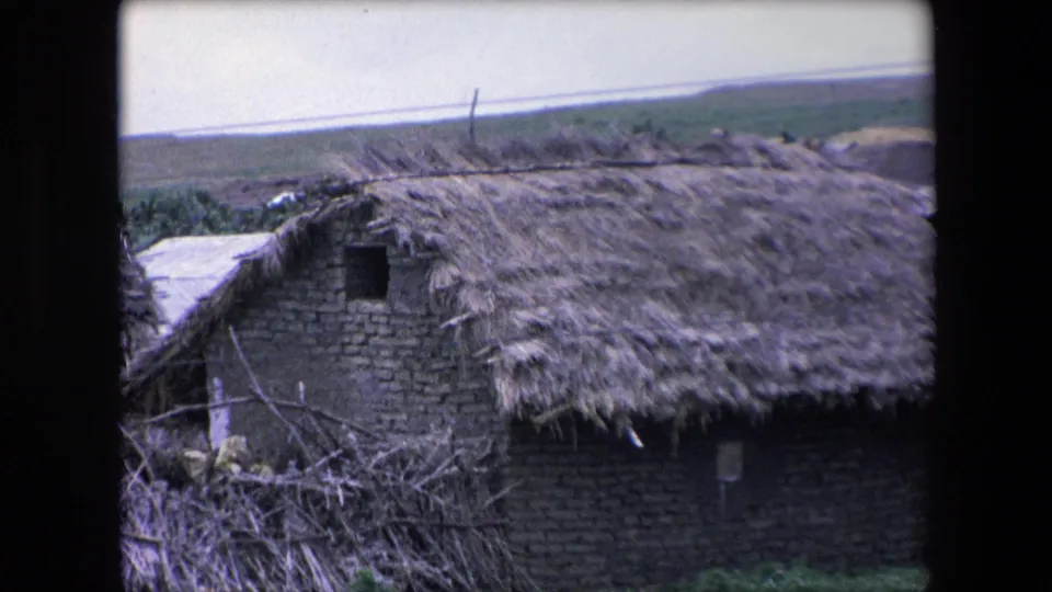 1971 Algeria frame showing a close view of a rural mud-brick hut with a thick thatched roof, small dark opening, rough branch fencing, and distant fields behind it.