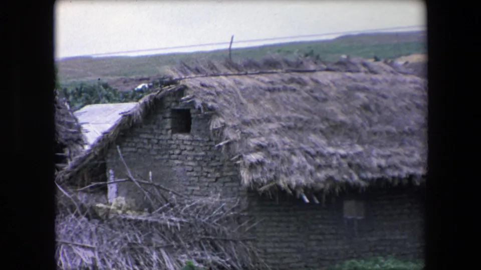 A rural Algerian thatched-roof mud-brick house appears in 1971 8mm footage, with brush fencing, green grass, and open land beyond.